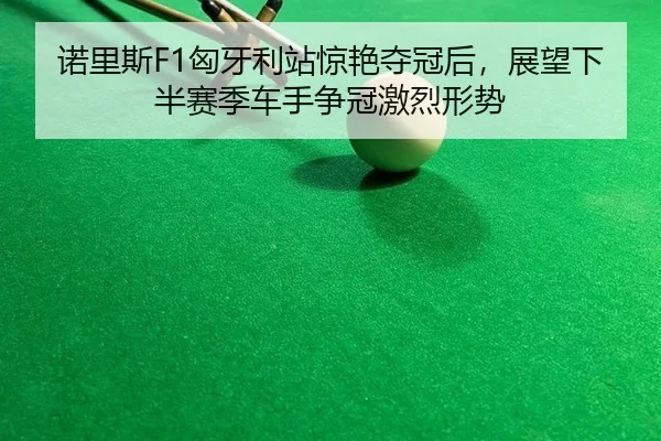 诺里斯F1匈牙利站惊艳夺冠后，展望下半赛季车手争冠激烈形势